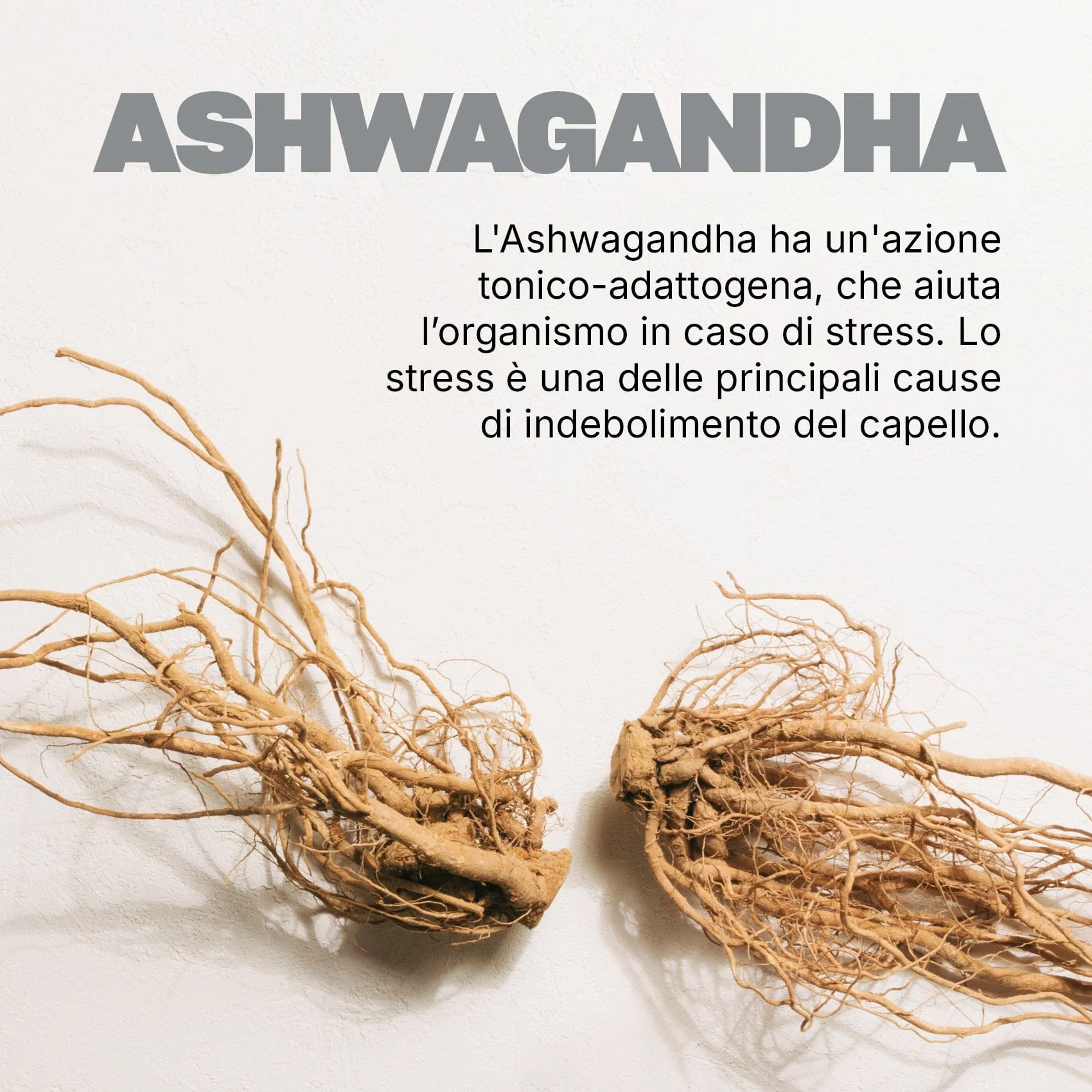Immagine prodotto 5