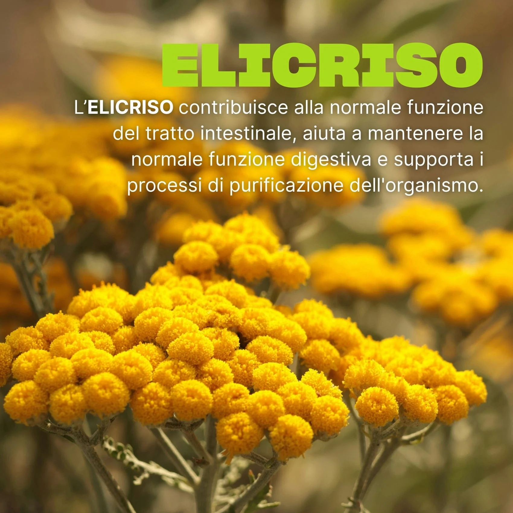 Immagine prodotto 5
