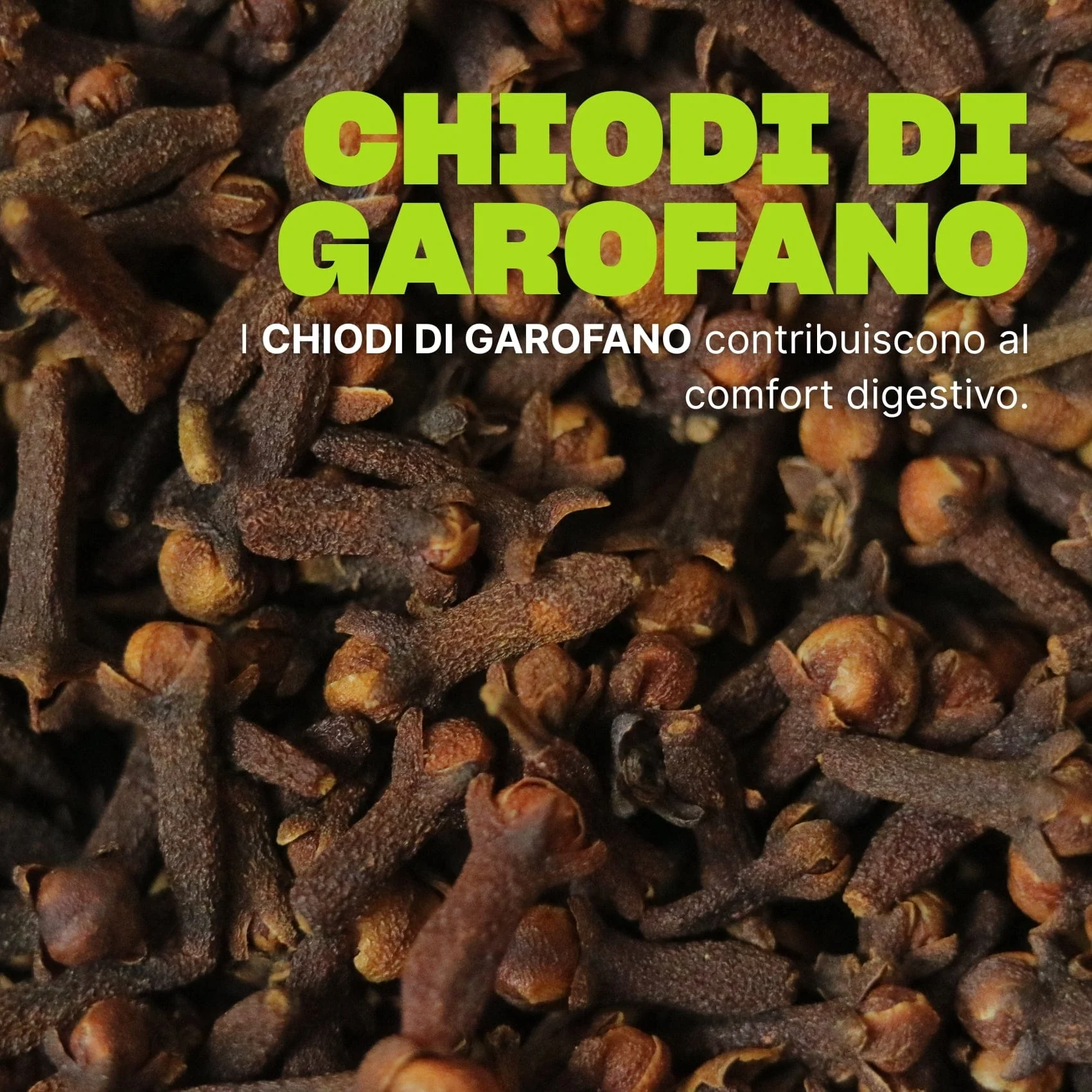 Immagine prodotto 6