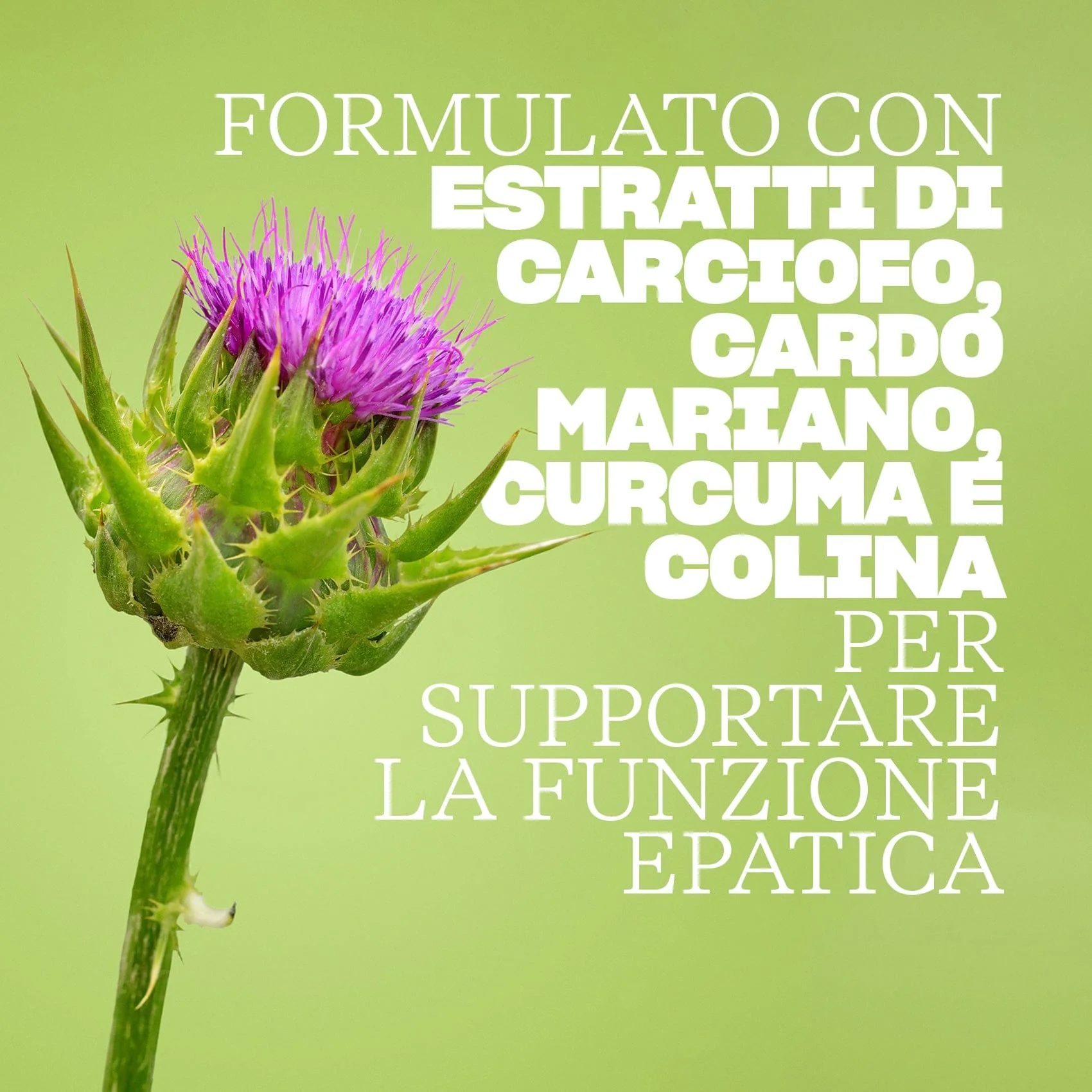 Immagine prodotto 5