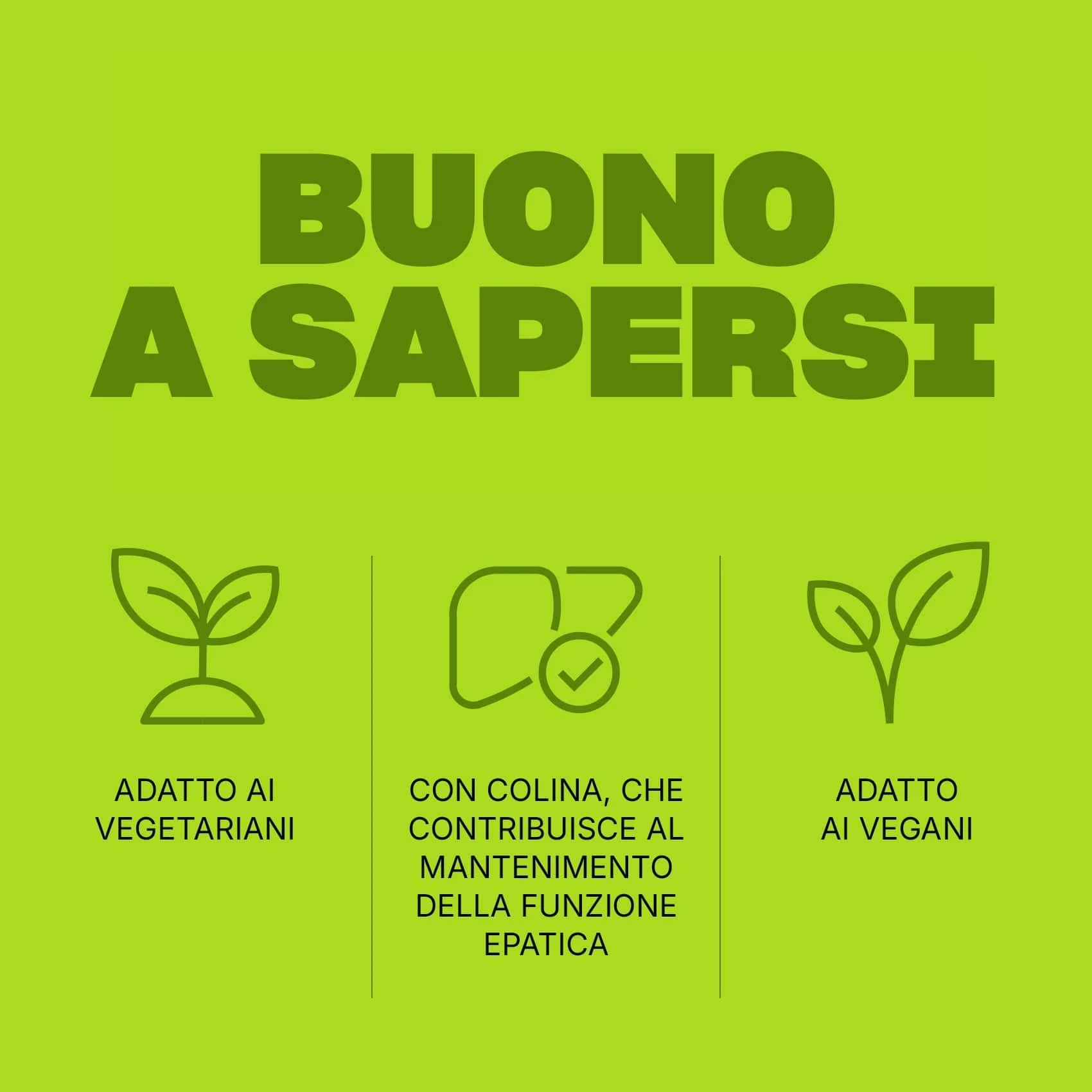 Immagine prodotto 6