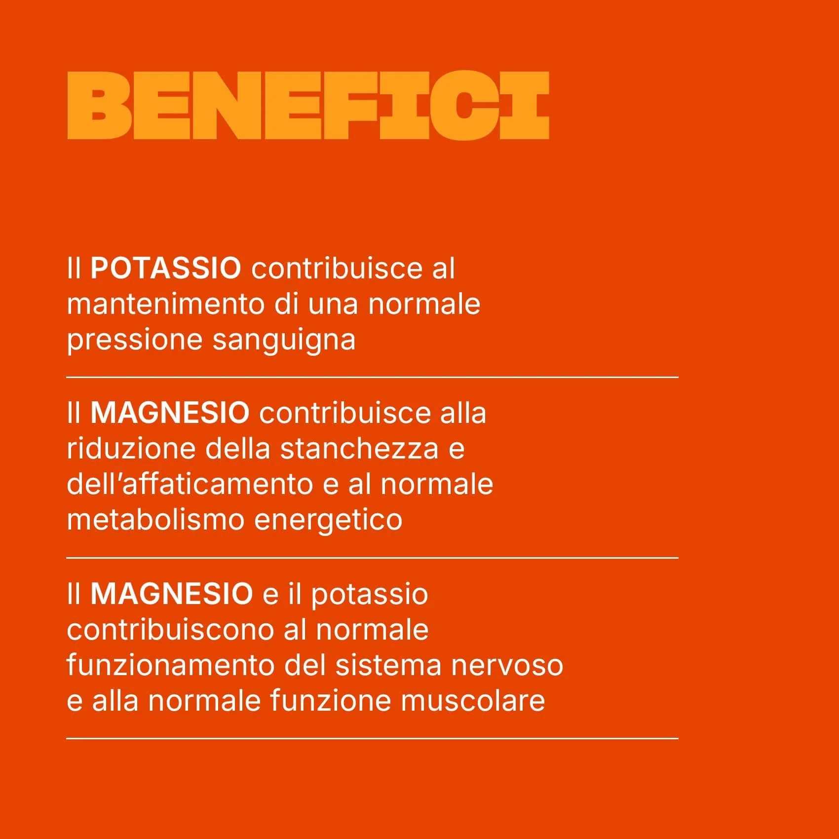 Immagine prodotto 3