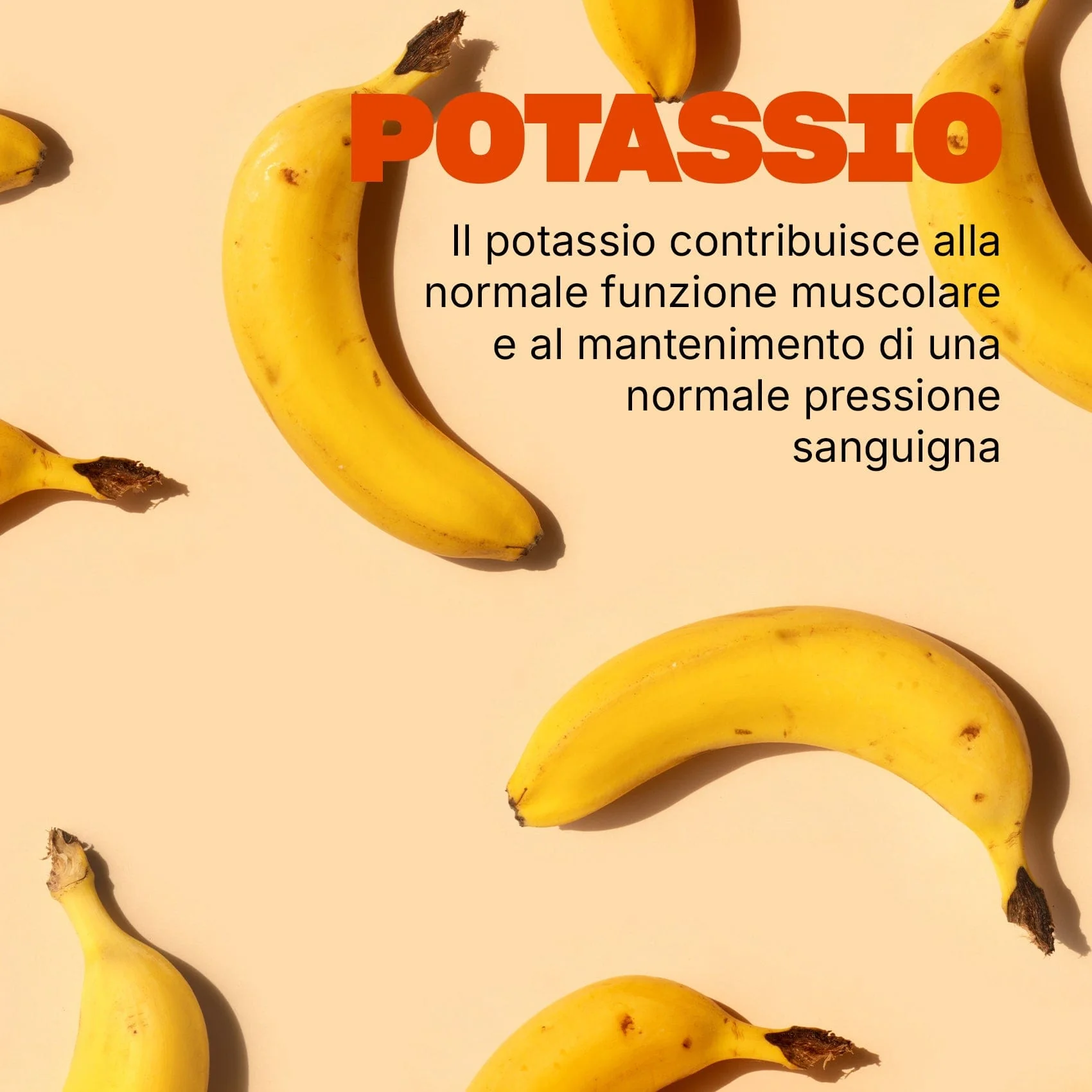 Immagine prodotto 5