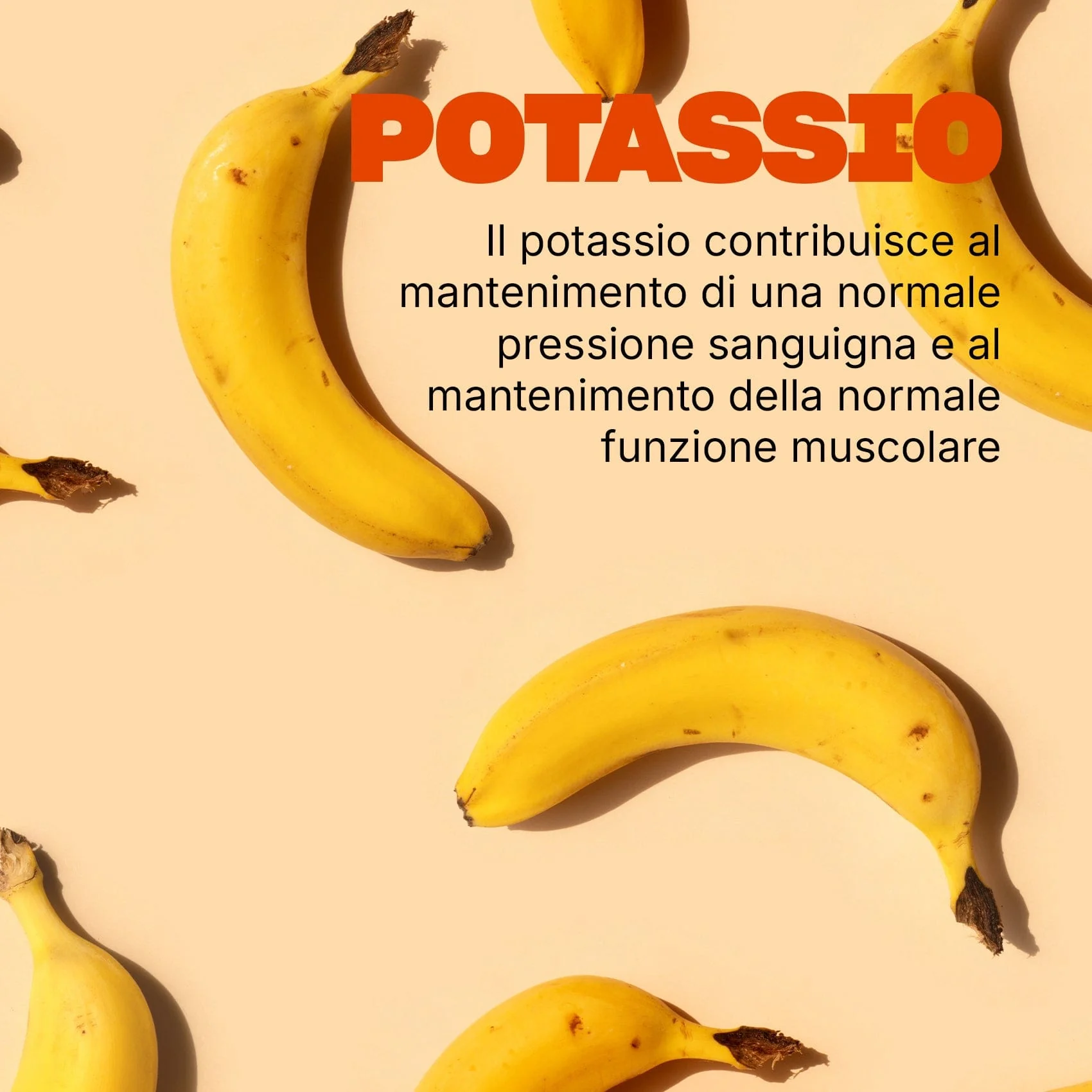Immagine prodotto 5