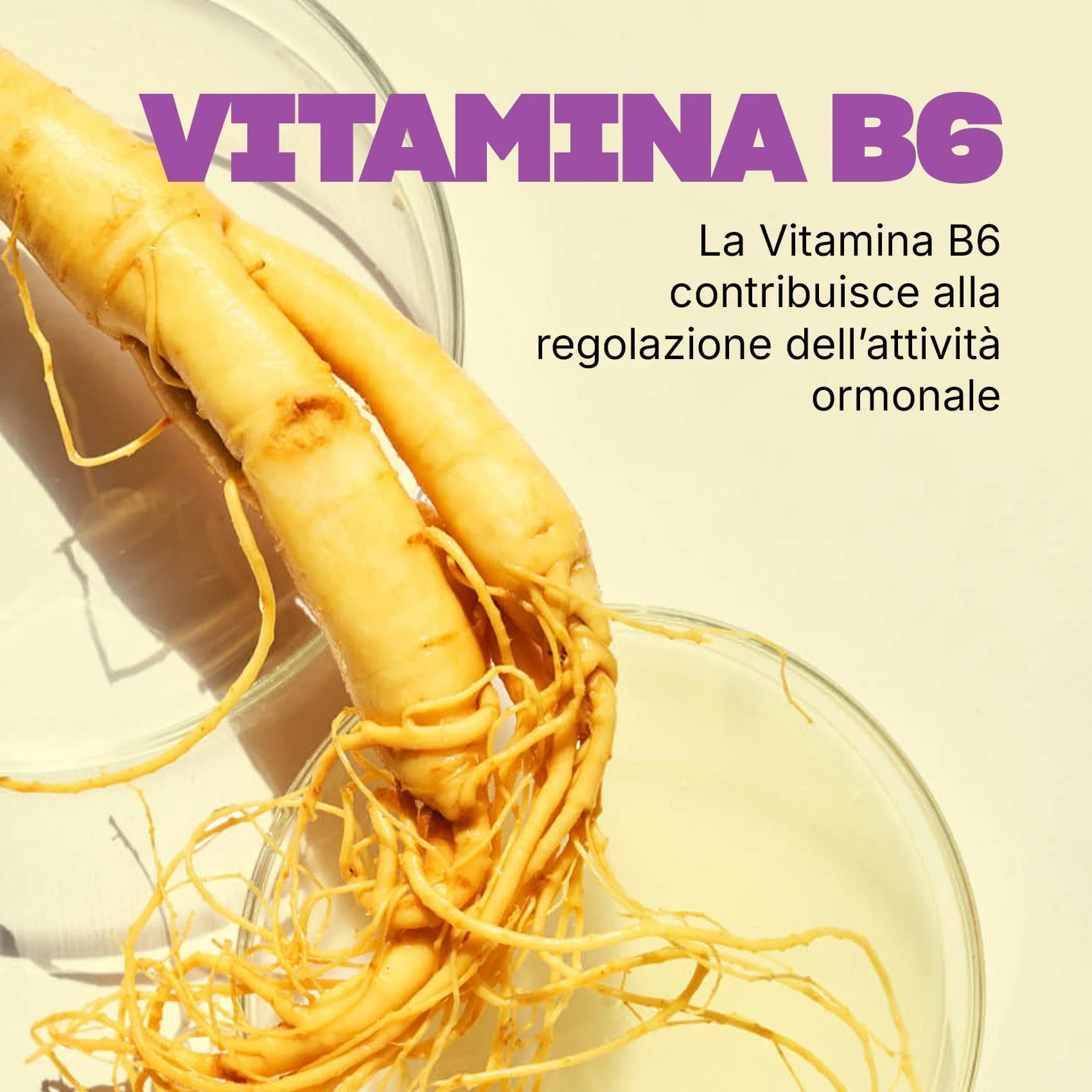 Immagine prodotto 5